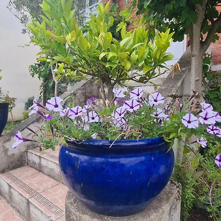 בית נופש Pretty House 15mn From Eiffel Tower And Versailles